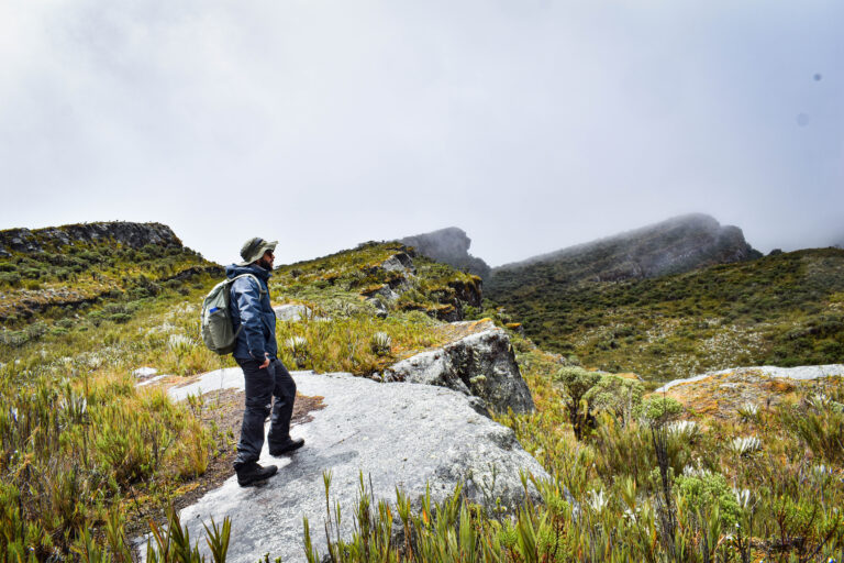 INICIO peñas blancas