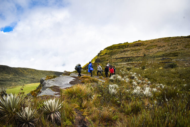 INICIO peñas blancas